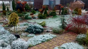 Ноябрь-занавес осени.Подморозило❄️.На даче красиво.❄️