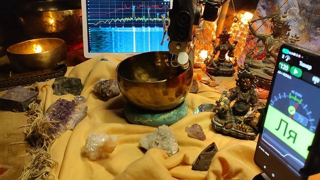 Б Ля214Гц 17см 960гр