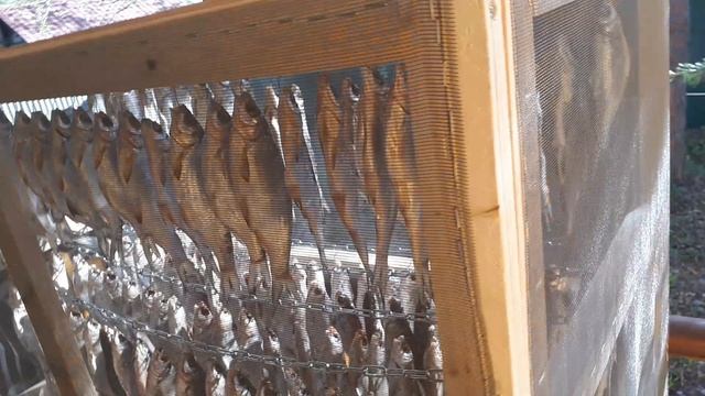 Сушилка для рыбы