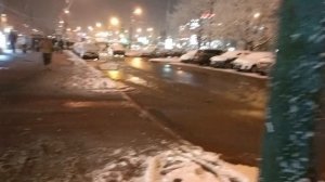 Снег украсил деревья.