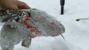 Рыбалка на налима 2025