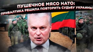 Балтийские карлики объявили войну: Зачем Литва полезла против Калининграда и чем это кончится