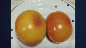 Томаты селекции В. Алифирова   т. 89229284031