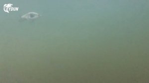 Приманка планер