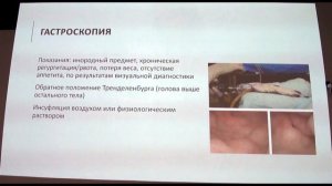 Эндоскопия в ветеринарии рыб Никитина Оксана Юрьевна