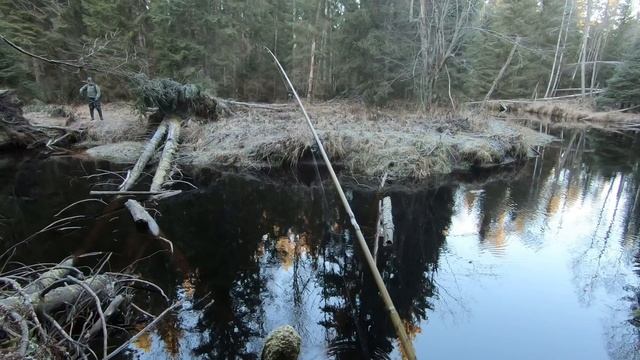 Карелия. Ноябрь 25.