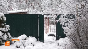 Это не игрушки