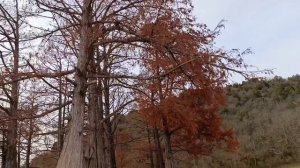 Кипарисовое озеро Сукко углубляют? 24 Ноября 2025 года.