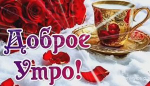ДОБРОЕ УТРО ВТОРНИКА. ПОЖЕЛАНИЕ ДОБРОГОУТРА