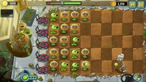 Растения против Зомби ﹥ Plants vs Zombies