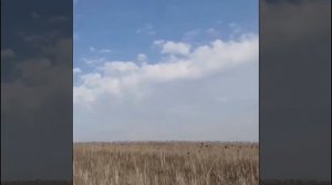 СВО👉ЖМИ (КАДРЫ 21+)👈