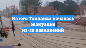 На юге Таиланда началась эвакуация из-за наводнений