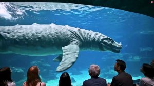 Доисторическая жизнь в Океане