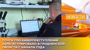 Почти 1700 киберпреступлений зарегистрировано в Гродненской области с начала года