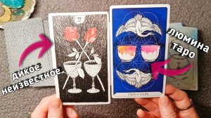 Одинаковые?🧐 Таро-сравнение: Lumina Tarot VS Дикое Неизвестное Таро