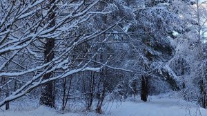 ДУХ СТРАХА УХОДИ 🙏🔥