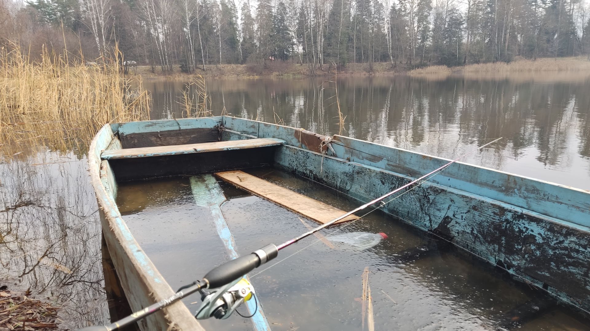 Рыбалка в ноябре на спиннинг, обошел 5 прудов,лед становится ,ждем первый лед