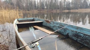 Рыбалка в ноябре на спиннинг, обошел 5 прудов,лед становится ,ждем первый лед
