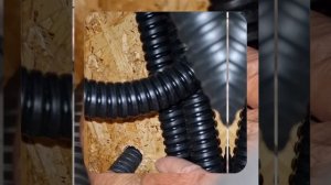 1000040974.mp4 (Собака смотрит на монтаж электропроводки (распайку р/коробок) в доме А-фрейм)