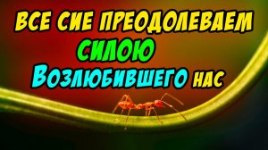 Все сие преодолеваем силою Возлюбившего нас - Василий Савич. Христианские проповеди