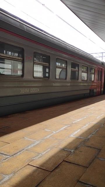 Электропоезд ЭД4М на платформе Переделкино МЦД-4