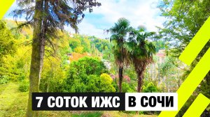 Участки в Хосте под строительство двух домов — топовая локация и чистая земля