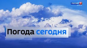 Погода в Донецкой Народной Республике 25 ноября