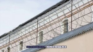 В России предложили объявить амнистию для женщин ко Дню матери