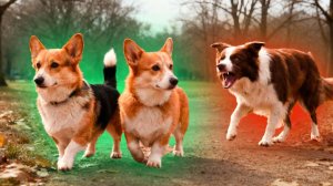 ДА ПОШЛА ТЫ ЛИСА!! МОЯ ЛЮБОВЬ БОЛЬШЕ НЕ НЕСЧАСТНАЯ! Корги Кекс Говорящая собака