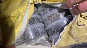 В Хабаровске изъяли 77 килограммов черной икры у водителя-дальнобойщика