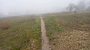 Болит бок , пошла в больницу ! На улице туман , хоть ложкой мешай ! Юг России🌴