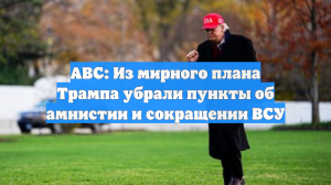 ABC: из мирного плана США исключили пункты о численности ВСУ и амнистии