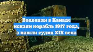 Водолазы в Канаде искали корабль 1917 года, а нашли судно XIX века