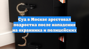 Арестован подросток, обвиняемый в нападении на охранника и полицейских в Москве