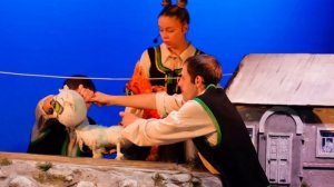 Первые отзывы сразу после премьеры спектакля "Котёнок по имени Гав"