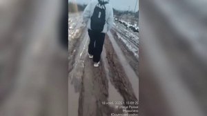 Новости Кирова 19.11.25