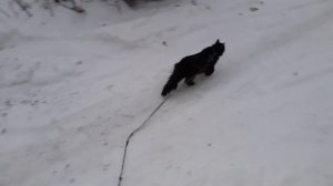 Утро, на прогулке.