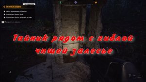 сталкер 2 залесье малая зона тайник рядом с гиблой чащей
