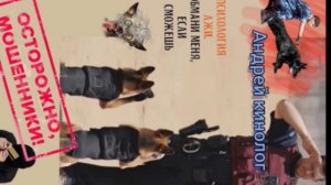 Санитарно-культурное лечение.