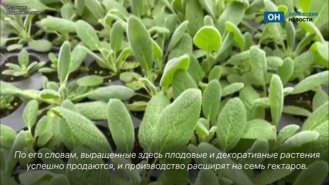 Клычков заехал в Ледно посмотреть на питомник