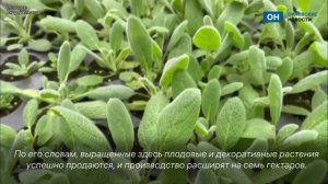 Клычков заехал в Ледно посмотреть на питомник