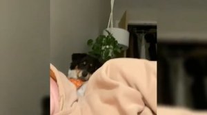 Китайские приколы видео / Asia By Sun / Эпизод 09