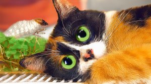 НОВЫЙ ВЕЧНЫЙ ТЕРРАРИУМ [60 дней спустя]