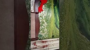 учебный день дома 💓👾