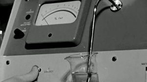 1976 год. Тюмень. Лаборатория ЗауралНИИСХ