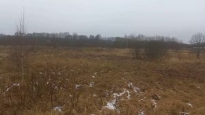 д. Новая 50:18:0030302:997