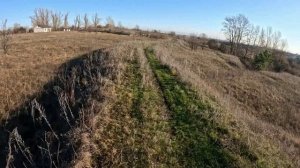 Очередной поход! Природная аптека! Сбор ягод, Шиповник, Боярка.