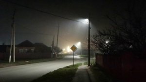 Туман, дорожный знак Главная дорога