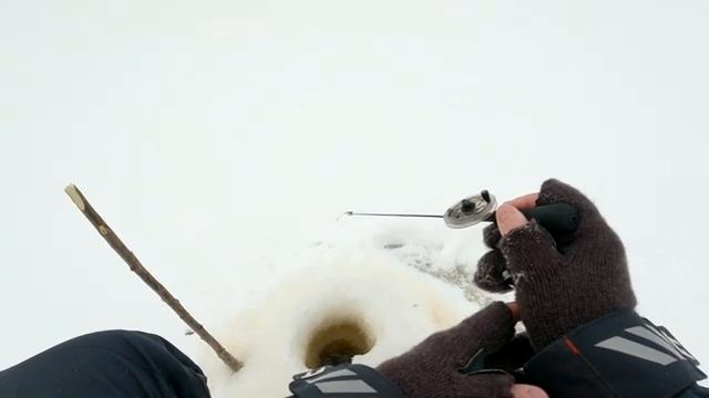 В ЭТУ МОРМЫШКУ Я ВЕРЮ! БЕЗМОТЫЛКА на ЛЕСНОЙ РЕЧКЕ ПО ПЕРВОМУ ЛЬДУ