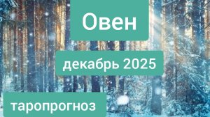 Овен ♈, декабрь 2025